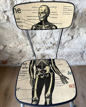 La Chaise [Anatomie] "Squelette"