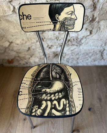 La Chaise [Anatomie] "Digestion"