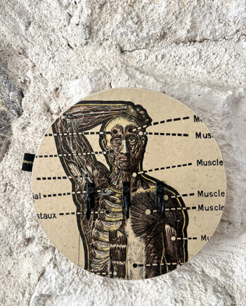 Porte Clés Mural "Vous Êtes Ici" Anatomie