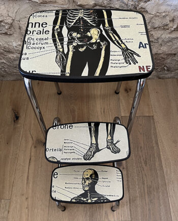 Le Tabouret Escabeau [Anatomie] « Squelette »