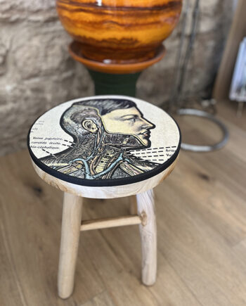 Tabouret [Anatomie] « Profil »