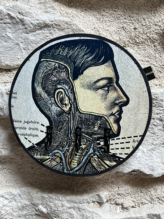 Porte Clés Mural [Anatomie]Profil